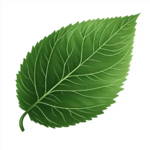 Sustainable Printing Practices